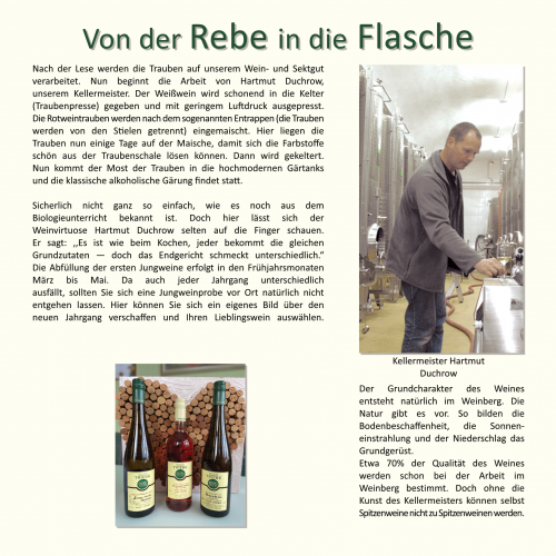 10-2023 - Rebe - Flasche S.1